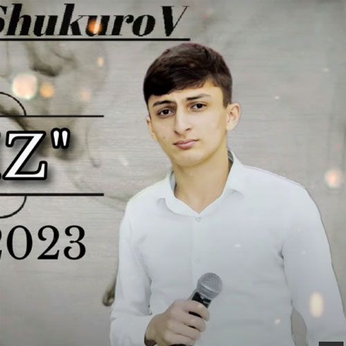 دانلود آهنگ جدید محمد شوکوروف بنام وفاسیز